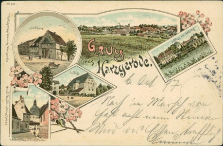 Alte Ansichtskarte Gruss aus Harzgerode, Rathaus, Schloss, Schloss mit Bahnhof, v. Röder's Haus m. Kirchturm