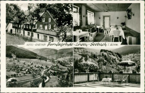 Alte Ansichtskarte Seebach im Nordschwarzwald, Hotel-Gasthof Hornisgrinde-Löwen