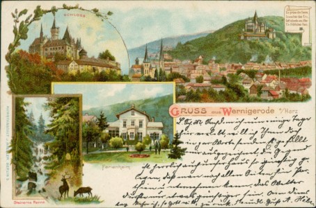 Alte Ansichtskarte Gruss aus Wernigerode a/Harz, Schloss, Steinerne Renne, Ferienheim