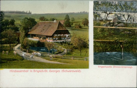 Alte Ansichtskarte St. Georgen im Schwarzwald, Hirzbauernhof in Brigach, Brigachquelle (Donau-Ursprung)