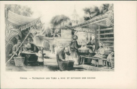 Alte Ansichtskarte China / Chine, Nutrition des vers a soie et division des cocons