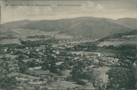 Alte Ansichtskarte Bad Blankenburg, Blick vom Greifenstein