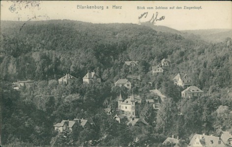 Alte Ansichtskarte Bad Blankenburg, Blick vom Schloss auf den Ziegenkopf