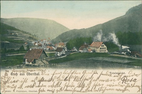Alte Ansichtskarte Baiersbronn-Obertal, Totalansicht