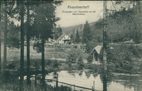 Alte Ansichtskarte Freudenstadt, Fischweiher und Sägemühle an der Kniebisstrasse