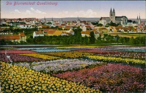 Alte Ansichtskarte Quedlinburg, Gesamtansicht mit Blumenfeldern