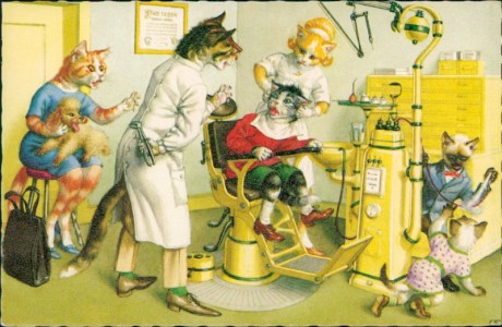 Alte Ansichtskarte Katzen beim Zahnarzt, 