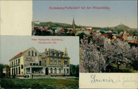 Alte Ansichtskarte Bad Godesberg-Muffendorf, Gesamtansicht bei der Pfirsichblüte, Haus Hochgürtel, Godesberg, Fernsprecher 161