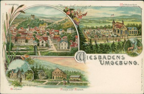 Alte Ansichtskarte Wiesbaden, Wiesbadens Umgebung. Sonnenberg, Waldhäuschen, Fischzucht-Anstalt
