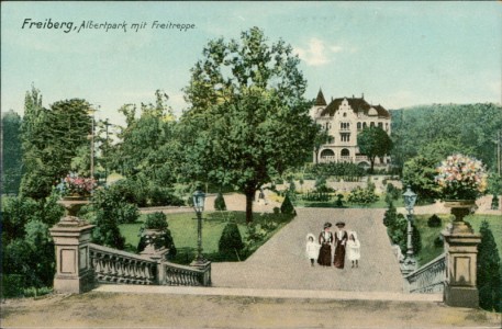 Alte Ansichtskarte Freiberg, Albertpark mit Freitreppe