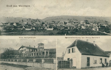 Alte Ansichtskarte Alzey-Weinheim, Gesamtansicht, Villa Heiligenbluth, Spezereihandlung von Georg Bernhard