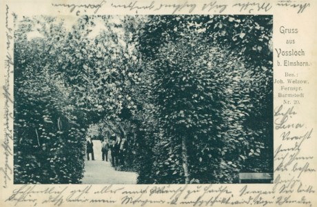 Alte Ansichtskarte Voßloch (Bokhorst-Wankendorf), Im Garten, Bes.: Joh. Welzow Fernspr. Barmstedt Nr. 20