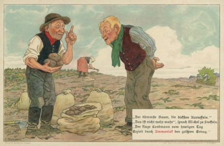 Alte Ansichtskarte Ammoniak Dünger, "Der dümmste Bauer, die dicksten Kartoffeln."