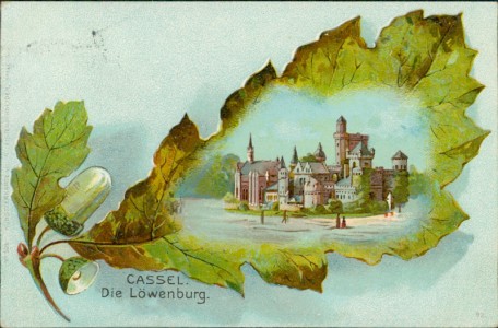 Alte Ansichtskarte Kassel, Die Löwenburg, Eichenblatt, Eichel