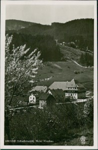 Alte Ansichtskarte Lenzkirch, Hotel Hirschen, Bes. J. Kraus Wwe.