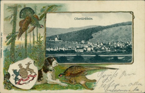Alte Ansichtskarte Stuttgart-Obertürkheim, Gesamtansicht, Wappen, Jagdhund, Fasan